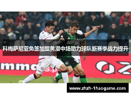科梅萨尼亚免签加盟黄潜中场助力球队新赛季战力提升