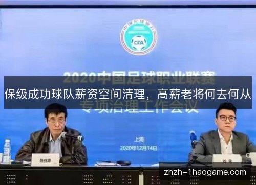 保级成功球队薪资空间清理,高薪老将何去何从 保级成功球队薪资空间清理,高薪老将何去何从